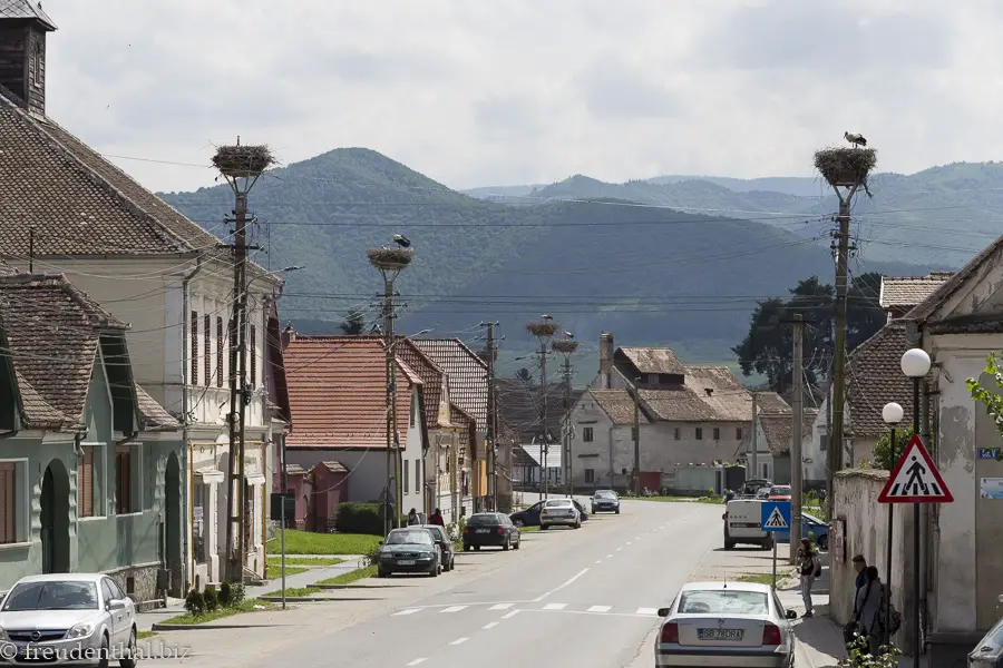 Dorf der Störche Grossau