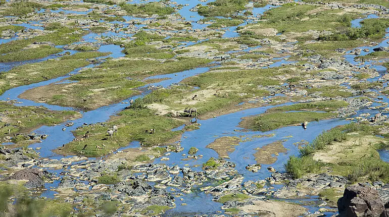 Olifants Fluss im Krüger Nationalpark