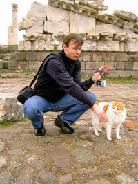 Lars unser Katzenfreund in Pergamon