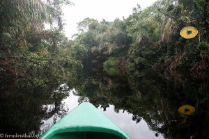 Kanutour durch die Lagune bei Tortuguero