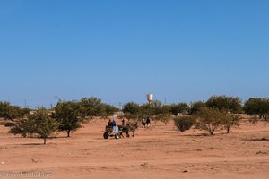Eselskarren zählen in Afrika zu den üblichen Transportmitteln.