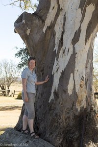 Anne beim großen Baum der Tierfontein Farm