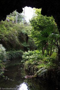 Blick aus einer künstlichen Grotte im Park
