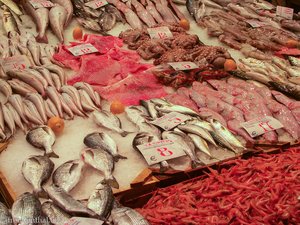 Fischauswahl im Vlali Markt