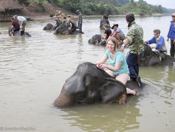 Elefantenbad im Nam Khan River in Laos