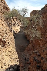 Auf dem Boden des ausgetrockneten Tsauchabs im Sesriem-Canyon