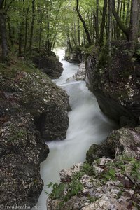 Beeindruckendes Wildwasser an der Mostnica Gorge