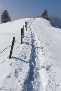 Pfad vom Wegweiser Morgartenberg zum Gipfel