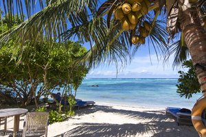 Kokosnüsse und Meer beim Crown Beach Hotel