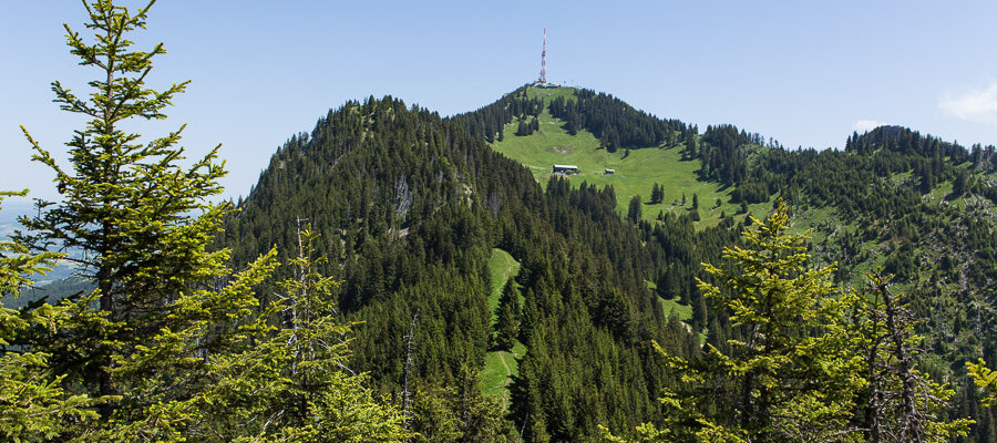 Blick über den Siechenberg (links) zum Grünten