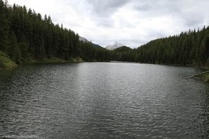 Blick über den Moose Lake; Jasper NP
