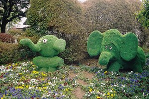 Tröröö - Elefanten im Garten von Guilin