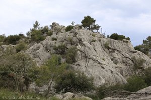 Felsen Roca d'en Valls