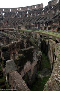 Besuch des Kolosseums von Rom