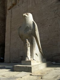 Horus-Statue im Tempel des Horus in Edfu