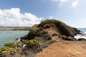Felsen zwischen der Barbados Bay und Pinfold Bay