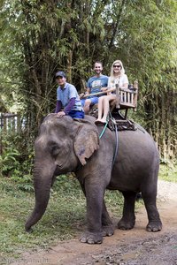 im Elephant Village Sanctuary & Resort