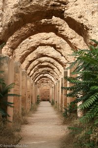 Bogengang bei Heri es-Souani in Meknès