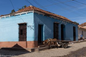 Blaues Haus und Eselskarre in Trinidad