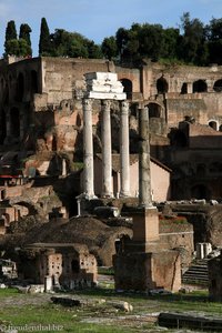 Blick über das Forum zu den Ruinen des Hauses der Vestalinnen