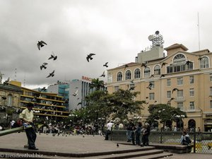Jede Menge Tauben auf dem Platz der Kulturen