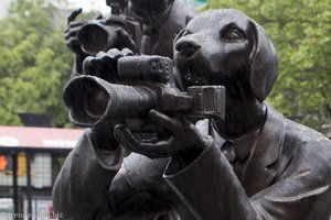die Paparazzi-Dogs in New York