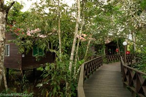 Kinabatangan Riverside Lodge - Weg vom Hauptgebäude zu den Bungalows