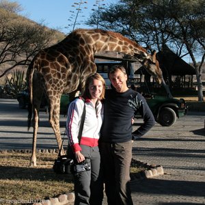 Giraffe Oskar im Garten der Epako Lodge