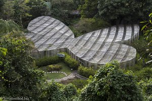 Das Schmetterlingshaus, das Mariposario im Quindío Botanical Garden.