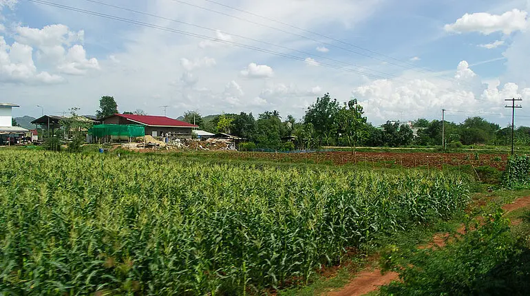Landwirtschaft entlang der Todesstrecke von Thailand