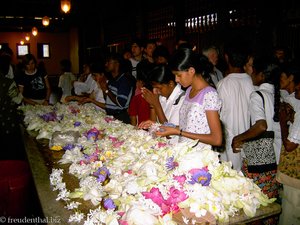 Kandy - Zahntempel - Buddhisten vor dem heiligen Schrein