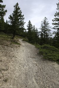 Schotterweg auf dem Hoodoos-Trail in Banff