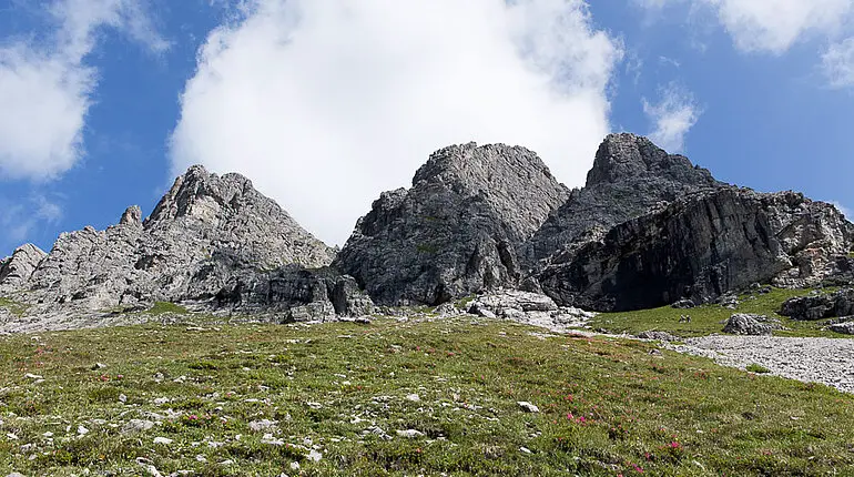 Großer Widderstein und seine Gipfel