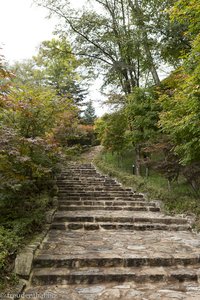 Treppen hinauf zum Sangwonsa Tempel im Odaesan Nationalpark