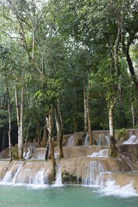 Es wachsen Bäume im Tad Sae-Wasserfall