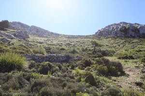 Aufstieg auf den Puig des Teix