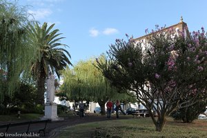 Jardim Padre Sena Freitas in Ponta Delgada der Azoren