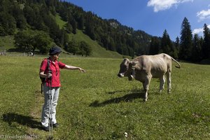 Anne und die neugierige Kuh nahe dem Stuiben