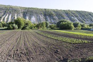 Gemüsefelder bei Butuceni in der Gegend Orheiul Vechi in Moldawien