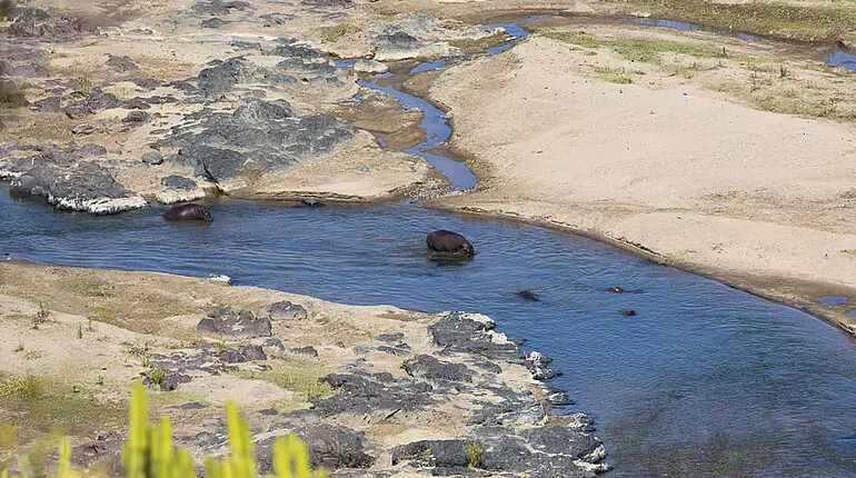 Blick vom Camp auf den Olifants Fluss im Krüger Nationalpark