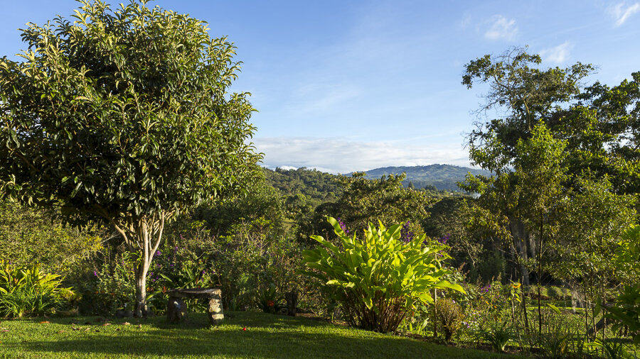 Aussicht in den Garten der Hacienda Anacaona in San Agustin