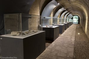 Fossiliensammlung im Tunnel von Kranj