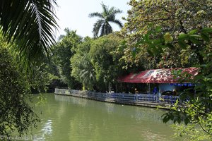 Teich im Dusit Zoo in Bangkok