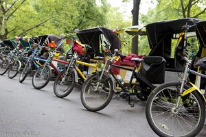 Fahrradrikschas am Eingang zum Central Park
