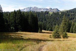 Moorweg zwischen Alp Looch und Arvenbüel