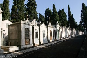 Totenhäuser auf dem Friedhof Prazeres