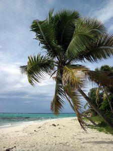 Strand von Jamesby, Tobago Cays