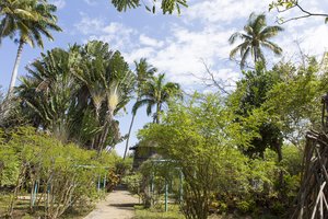im Jardin d'Eden von La Réunion