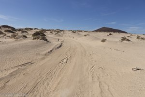 Die wüstenhafte Landschaft an der Playa de La Lambra