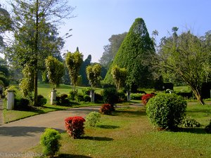 Botanischer Garten von Peradeniya